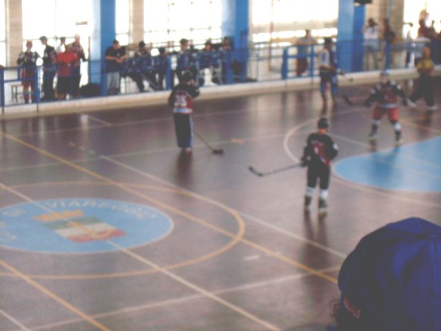 Photograph