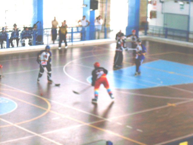 Photograph