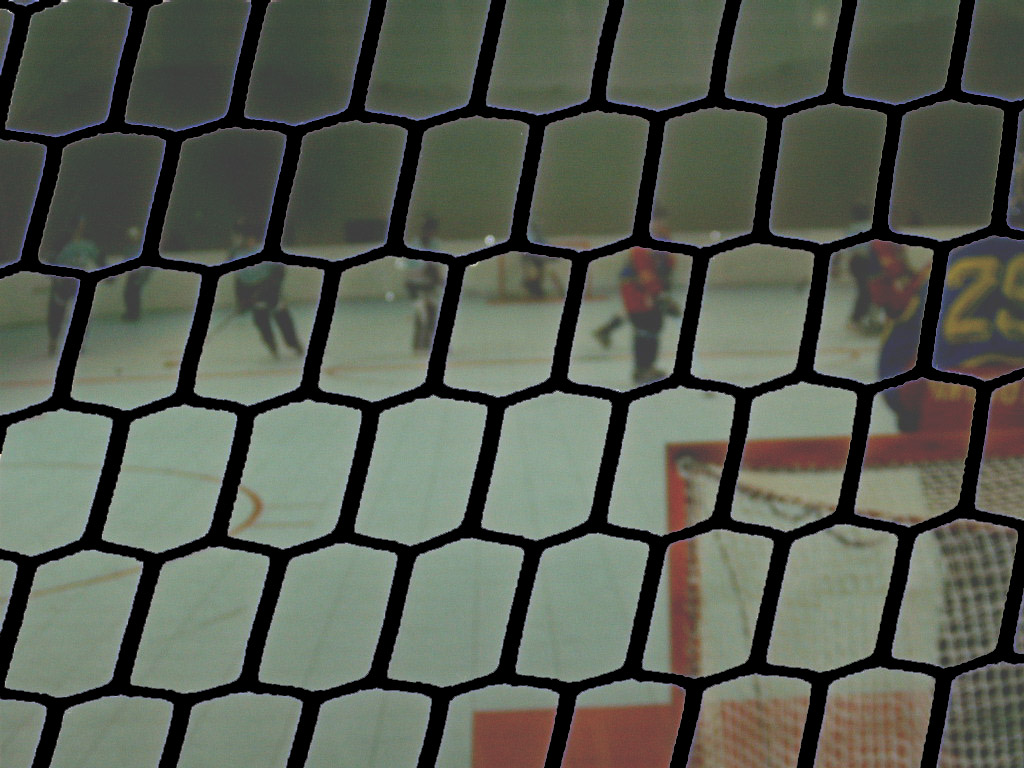 img008.jpg