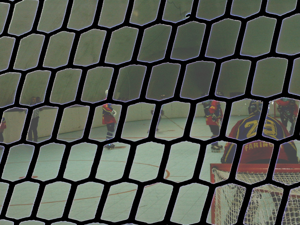 img009.jpg