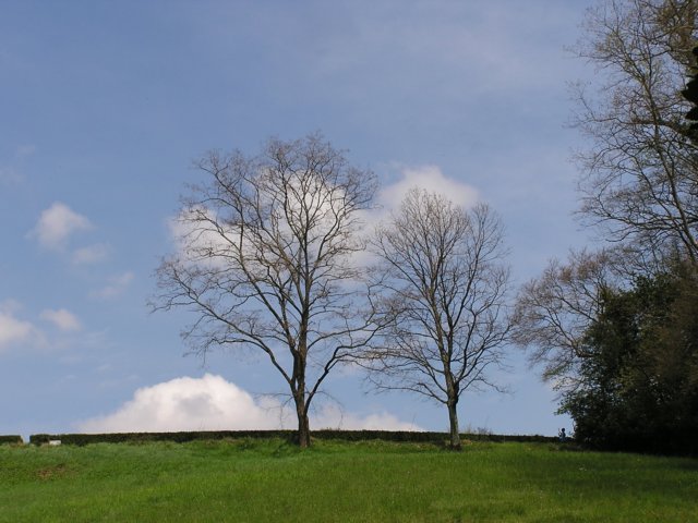 p4170006.jpg