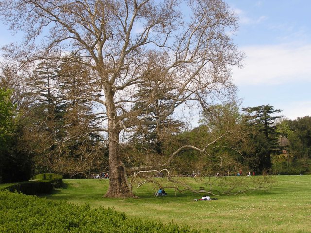 p4170007.jpg