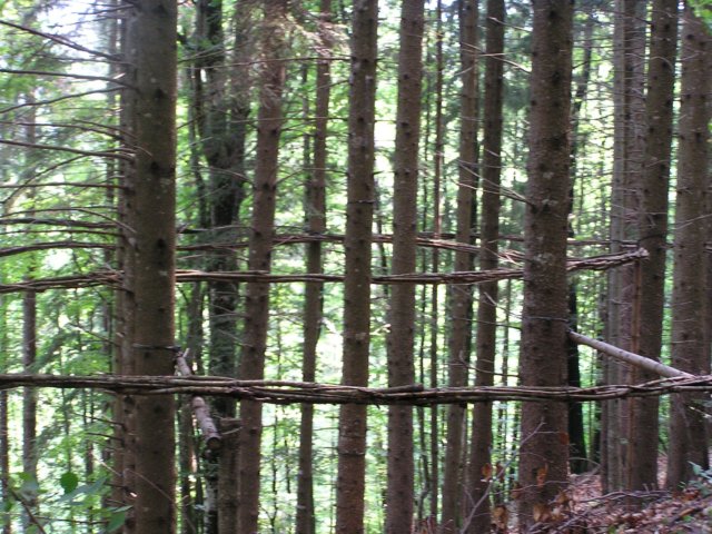 p6190031.jpg