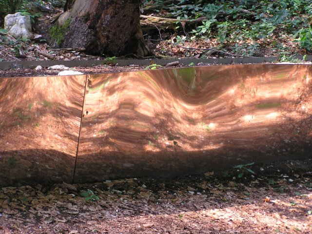 p6190036.jpg
