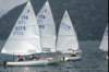 dsc_0105_small.jpg
