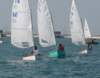 dsc_1000_small.jpg