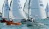 dsc_1036_small.jpg