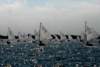 dsc_1065_small.jpg