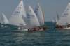 dsc_1084_small.jpg