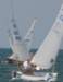 dsc_1089_small.jpg