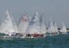 dsc_1180_small.jpg