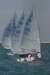 dsc_1208_small.jpg