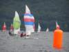 p1010113_small.jpg