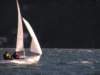 p1010167_small.jpg