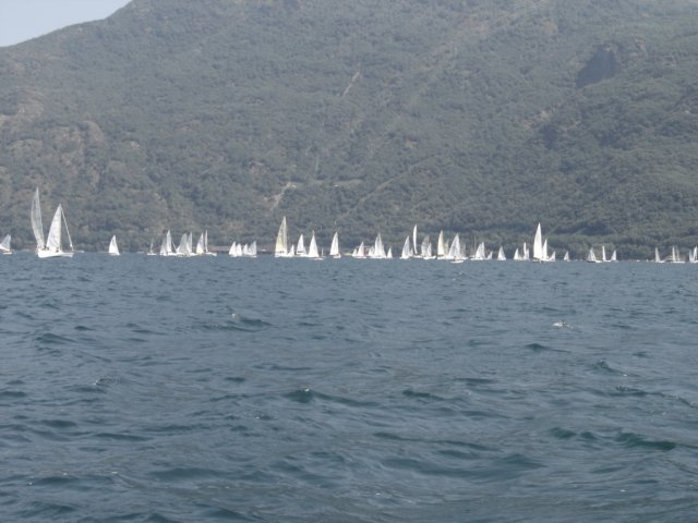 immagine018.jpg