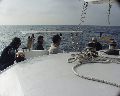 _P6260090.jpg