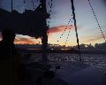 _P6290140.jpg