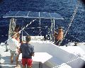 _P7050185.jpg