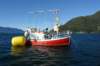 dsc01762_small.jpg
