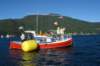 dsc01763_small.jpg