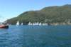 dsc01785_small.jpg