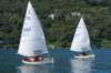dsc01817_small.jpg
