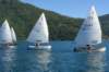 dsc01847_small.jpg