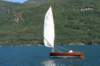 dsc01865_small.jpg